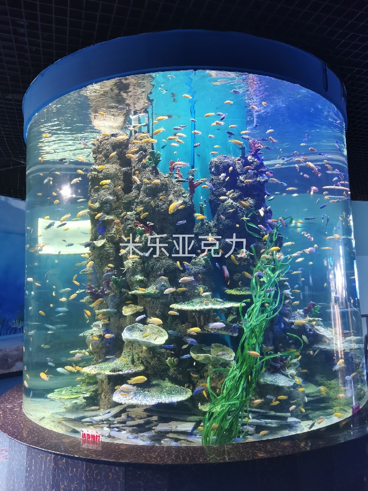 <b>亞克力魚(yú)缸：為何是養(yǎng)魚(yú)的不二選擇？</b>